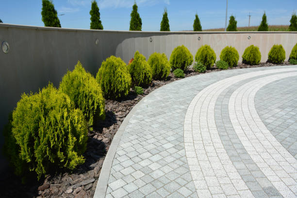 Best Cobblestone Driveway Pavers  in Salida, CA